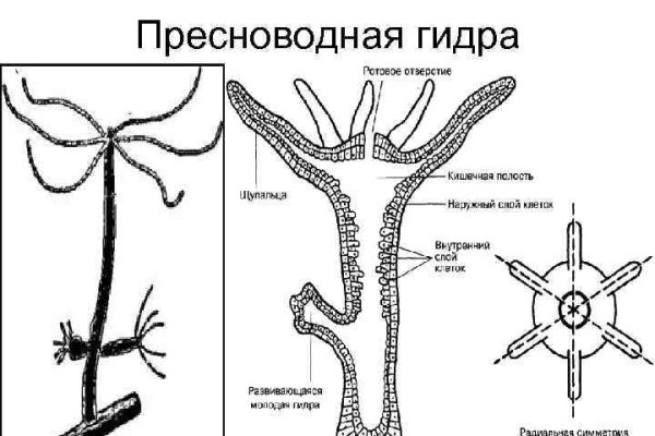 Обход 2fa blacksprut