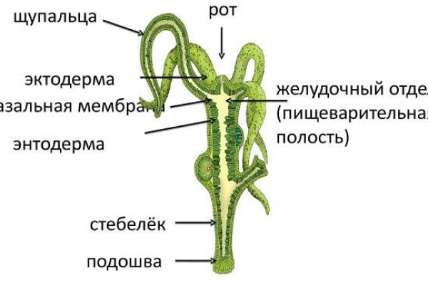 Bs2site at ссылка blacksprut