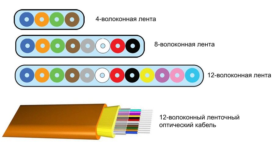 Блэк спрут телеграм