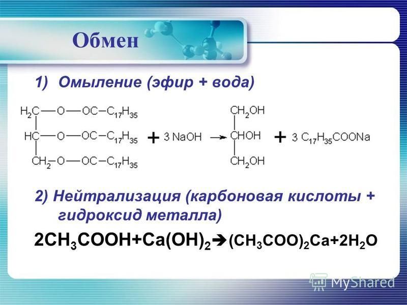 Черный спрут